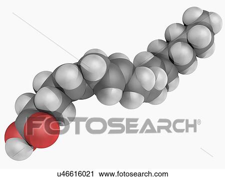 Clip Art - Arachidonic acid molecule. Fotosearch