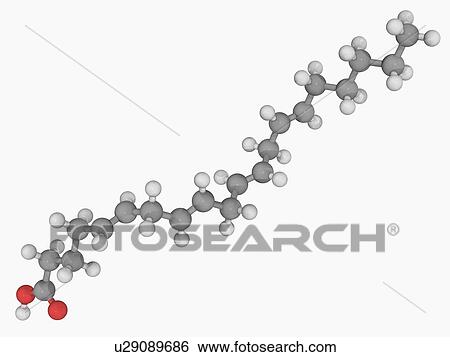 Stock Illustration - Arachidonic acid molecule. Fotosearch
