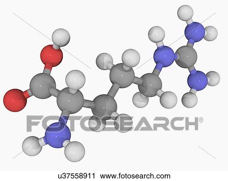 Arginine molecule View Large Illustration Clip Art - Arginine molecule. Fotosearch