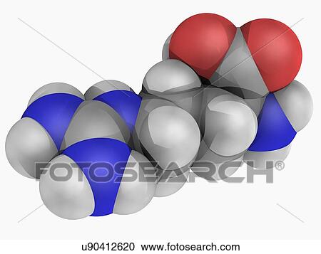 Arginine molecule View Large Illustration Clipart - Arginine molecule. Fotosearch
