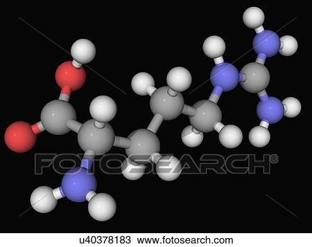 Arginine molecule View Large Illustration Drawing - Arginine molecule. Fotosearch
