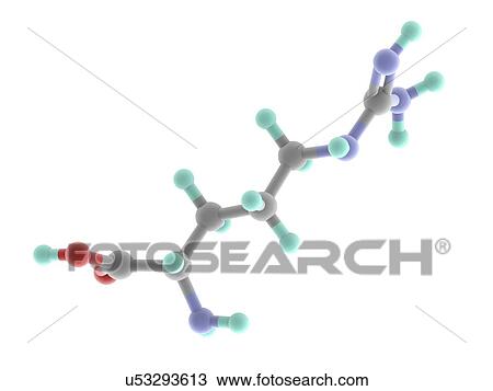 Arginine molecule View Large Illustration Drawing - Arginine molecule. Fotosearch
