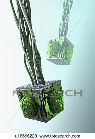 Artificial intelligence, artwork View Large Illustration Stock Illustration - Artificial intelligence, artwork. Fotosearch