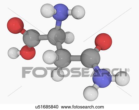 Clipart - Asparagine molecule. Fotosearch