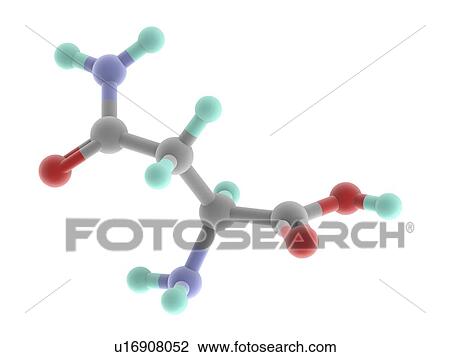 Asparagine molecule View Large Illustration Drawing - Asparagine molecule. Fotosearch