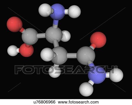 Stock Illustration - Asparagine molecule. Fotosearch
