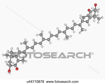 Astaxanthin molecule View Large Illustration Stock Illustration - Astaxanthin molecule. Fotosearch