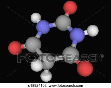 Barbituric acid molecule View Large Illustration Drawing - Barbituric acid molecule. Fotosearch