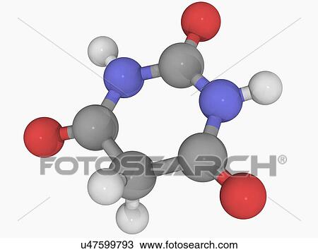 Drawing - Barbituric acid molecule. Fotosearch