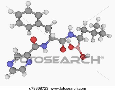 Drawing - Bortezomib drug molecule. Fotosearch