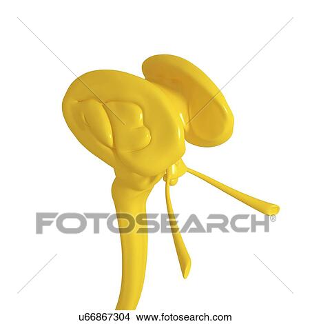 Brain anatomy, artwork View Large Illustration Stock Illustration - Brain anatomy, artwork. Fotosearch