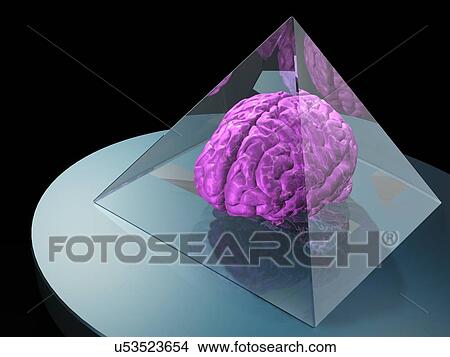 Brain trapped in a pyramid, artwork View Large Illustration Stock Illustration - Brain trapped in a pyramid, artwork. Fotosearch