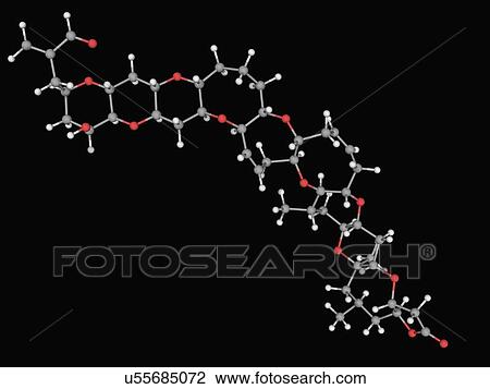 Brevetoxin neurotoxin molecule View Large Illustration Drawing - Brevetoxin neurotoxin molecule. Fotosearch