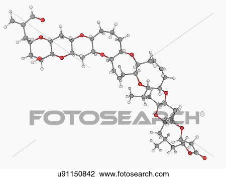 Drawing - Brevetoxin neurotoxin molecule. Fotosearch