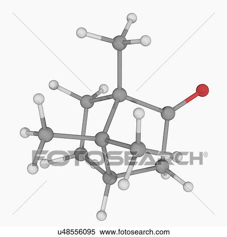 Stock Illustration - Camphor molecule. Fotosearch