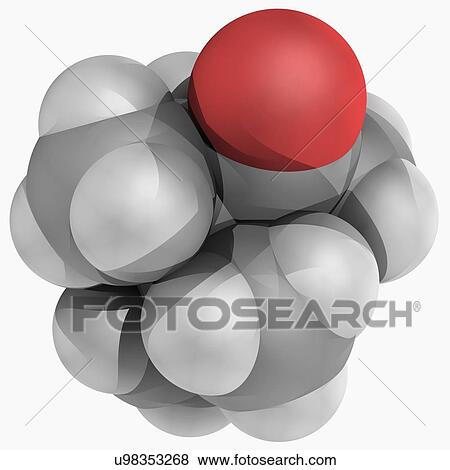 Stock Illustration - Camphor molecule. Fotosearch