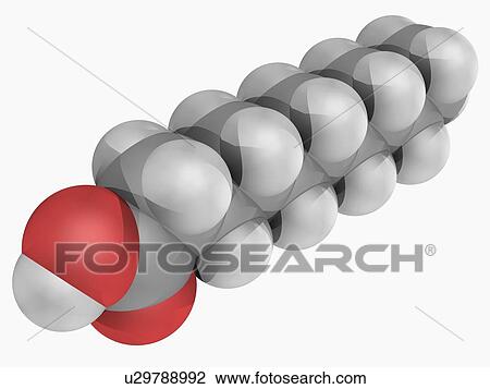 Drawing - Capric acid molecule. Fotosearch