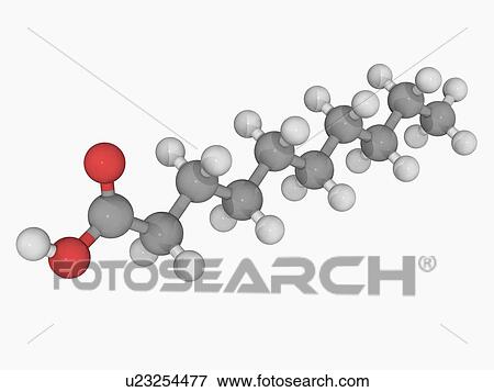 Stock Illustration - Capric acid molecule. Fotosearch