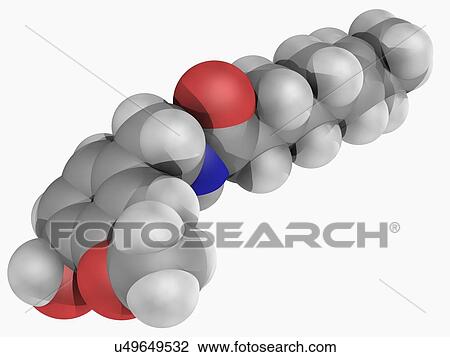 Drawing - Capsaicin molecule. Fotosearch