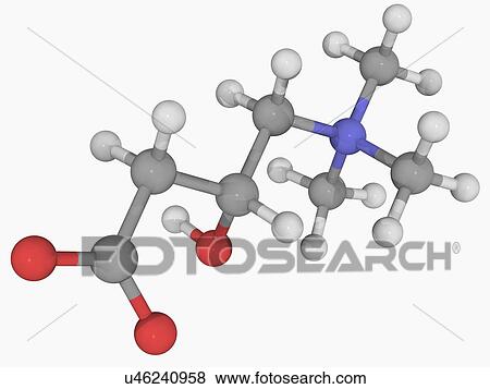Carnitine molecule View Large Illustration Stock Illustration - Carnitine molecule. Fotosearch