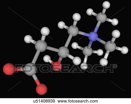 Carnitine molecule View Large Illustration Stock Illustration - Carnitine molecule. Fotosearch