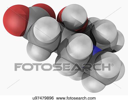 Carnitine molecule View Large Illustration Stock Illustration - Carnitine molecule. Fotosearch