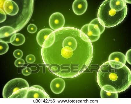 Stock Illustration - Cells, conceptual computer artwork. Fotosearch