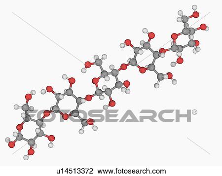 Cellulose molecule View Large Illustration Drawing - Cellulose molecule. Fotosearch
