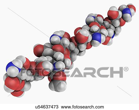 Drawing - Chitosan molecule. Fotosearch
