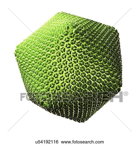 Stock Illustration - Chlorella virus particle. Fotosearch