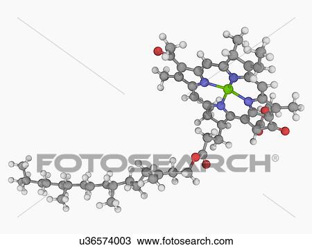 Chlorophyll B molecule View Large Illustration Drawing - Chlorophyll B molecule. Fotosearch