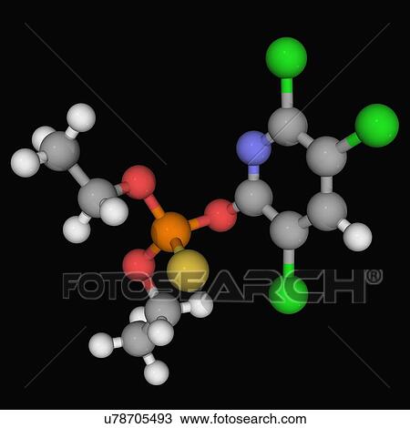 Chlorpyrifos insecticide molecule View Large Illustration Drawing - Chlorpyrifos insecticide molecule. Fotosearch