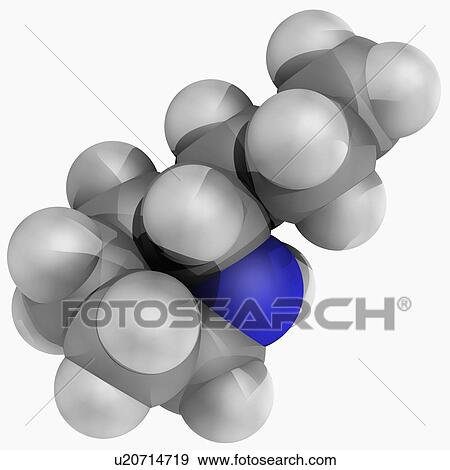 Coniine molecule View Large Illustration Stock Illustration - Coniine molecule. Fotosearch