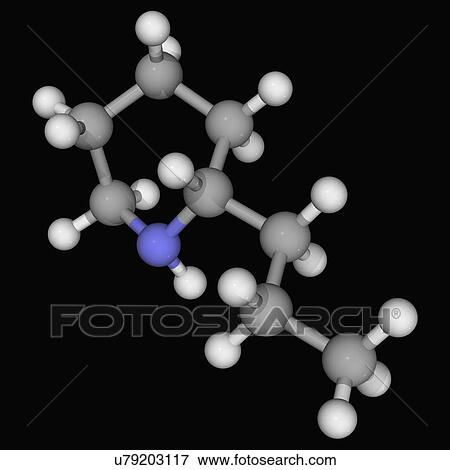 Coniine molecule View Large Illustration Stock Illustration - Coniine molecule. Fotosearch