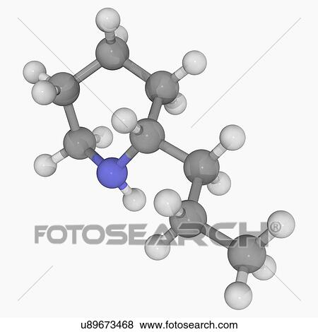 Coniine molecule View Large Illustration Stock Illustration - Coniine molecule. Fotosearch