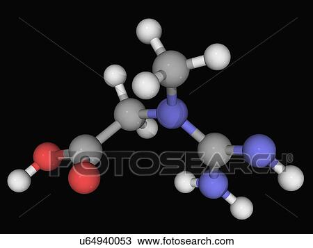 Creatine molecule View Large Illustration Drawing - Creatine molecule. Fotosearch