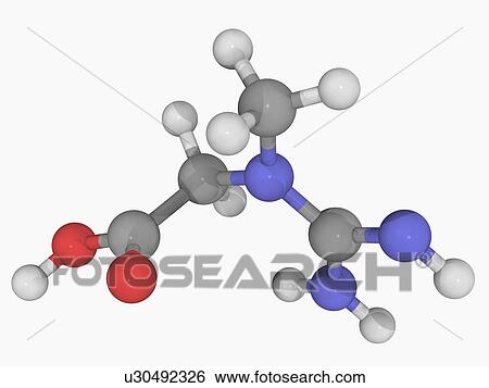 Stock Illustration - Creatine molecule. Fotosearch