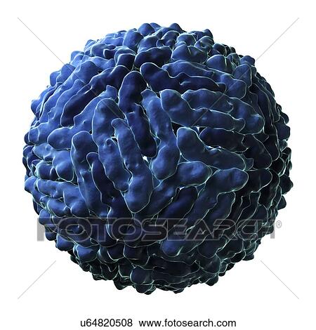 Stock Illustration - Dengue virus particle. Fotosearch