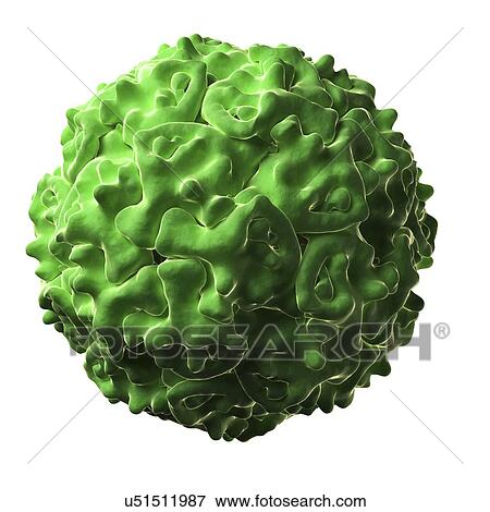 Densovirus particle View Large Illustration Stock Illustration - Densovirus particle. Fotosearch