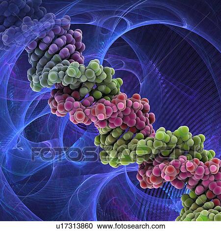 Clipart - DNA molecule, artwork. Fotosearch