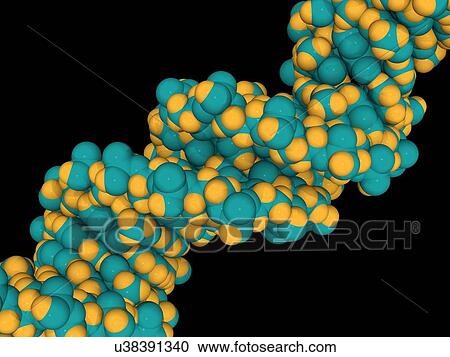 DNA molecule, artwork View Large Illustration Clipart - DNA molecule, artwork. Fotosearch