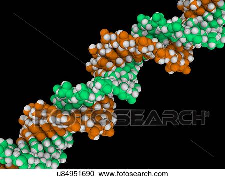 Clipart - DNA molecule, artwork. Fotosearch