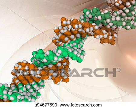 DNA molecule, artwork View Large Illustration Clipart - DNA molecule, artwork. Fotosearch