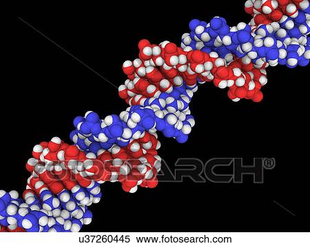 DNA molecule, artwork View Large Illustration Stock Illustration - DNA molecule, artwork. Fotosearch