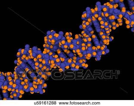 Stock Illustration - DNA molecule, artwork. Fotosearch