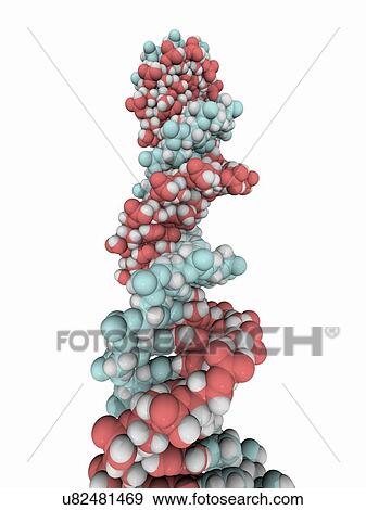 DNA molecule, artwork View Large Illustration Stock Illustration - DNA molecule, artwork. Fotosearch