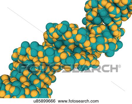 Stock Illustration - DNA molecule, artwork. Fotosearch