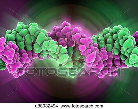 DNA molecule, artwork View Large Illustration Stock Illustration - DNA molecule, artwork. Fotosearch