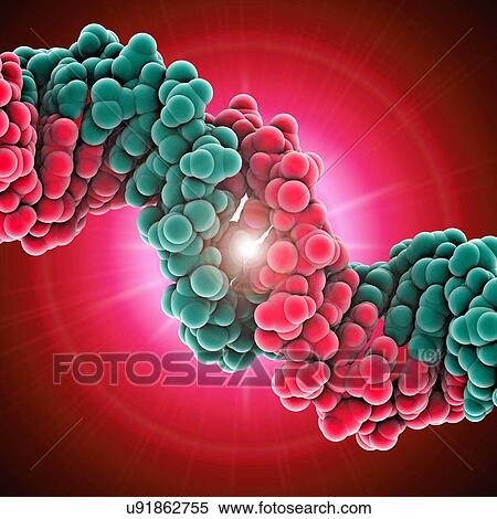 Stock Illustration - DNA molecule, artwork. Fotosearch