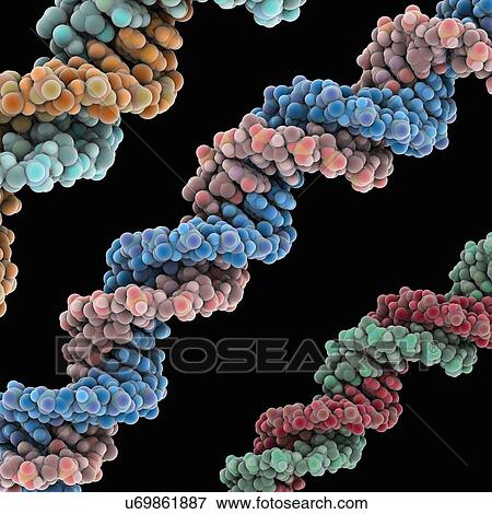 DNA molecules, artwork View Large Illustration Stock Illustration - DNA molecules, artwork. Fotosearch